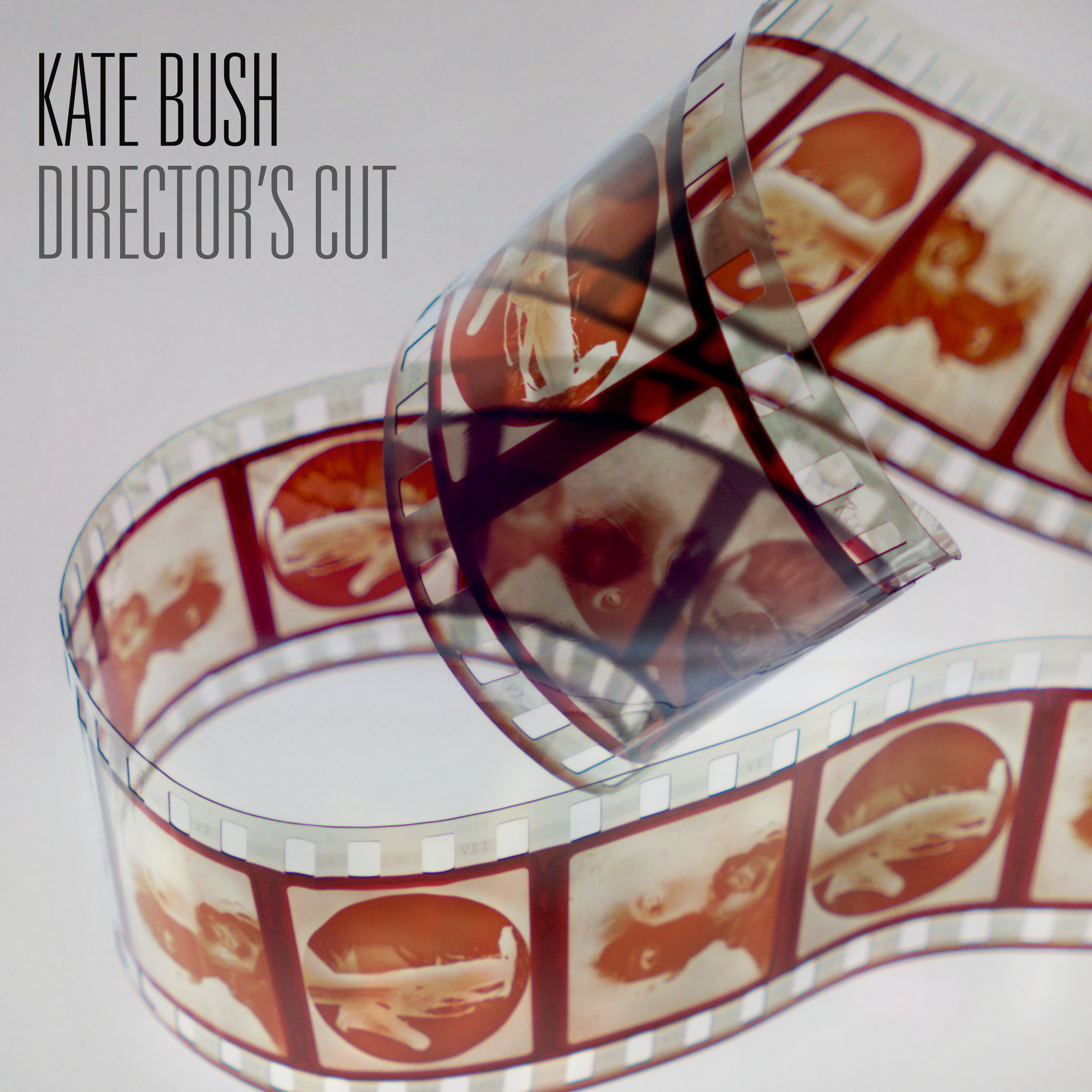 Bush, Kate - Director’s Cut, Vinyl Album